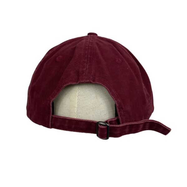 FRTS Cap - Image 2