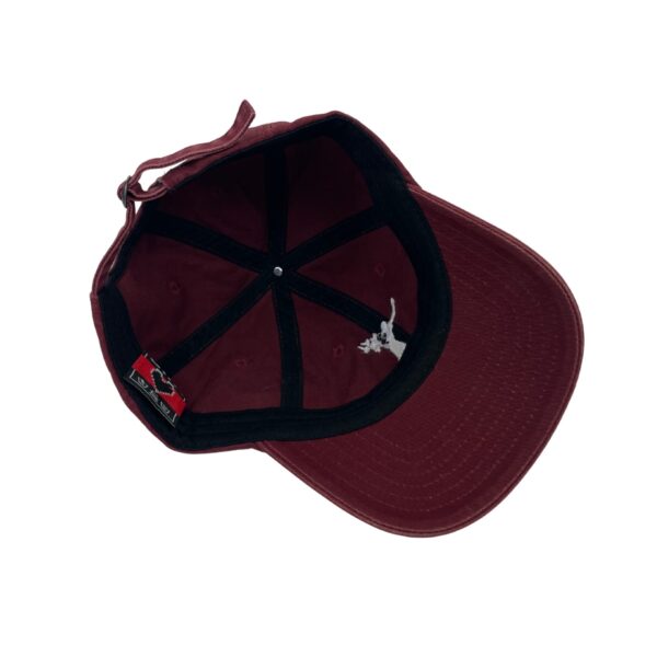 FRTS Cap - Image 3
